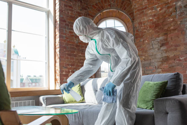 Mold Remediation for Vacation Homes in Mercer Island, WA